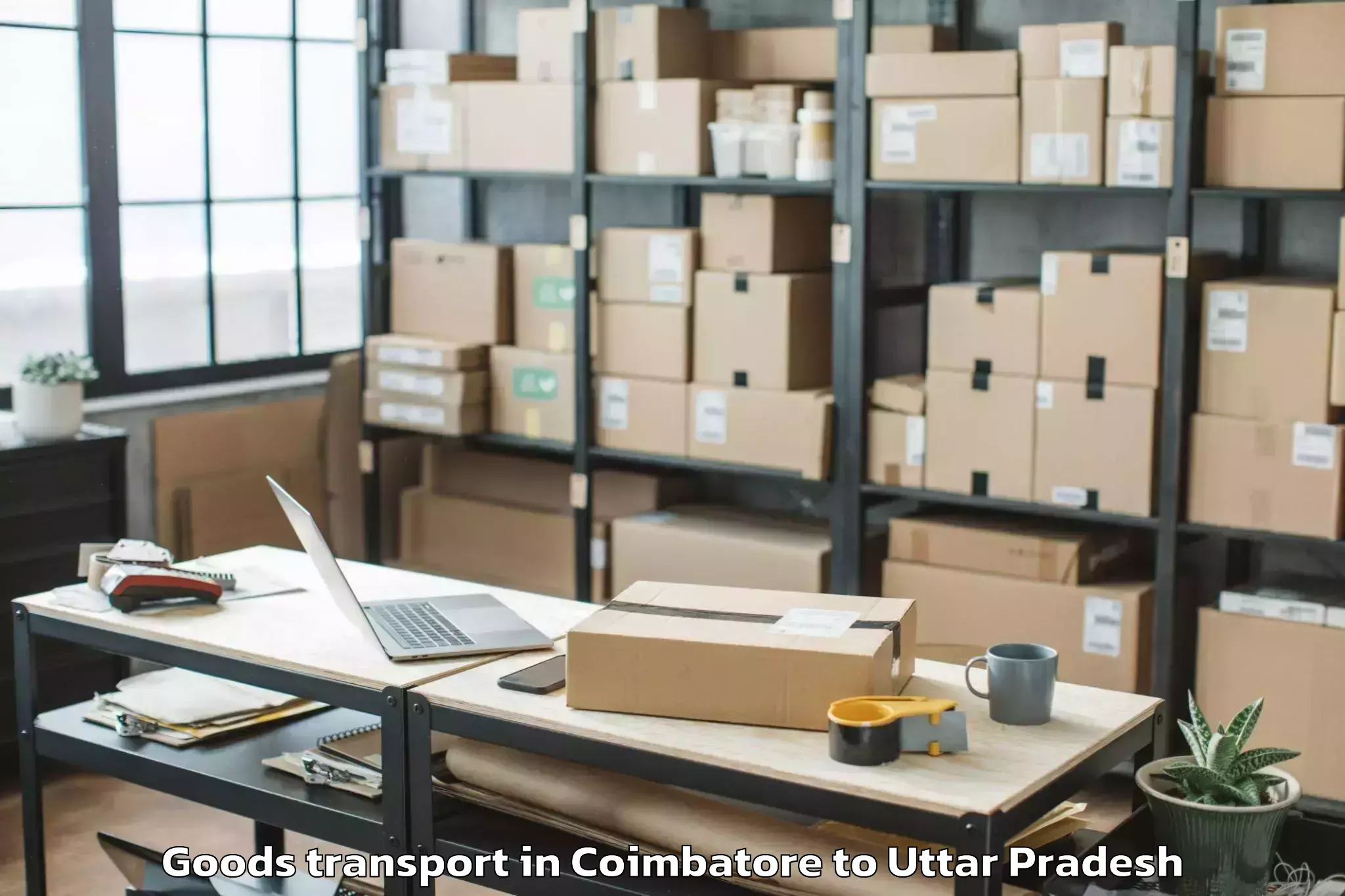 Trusted Coimbatore to Bareilly Airport Bek Goods Transport